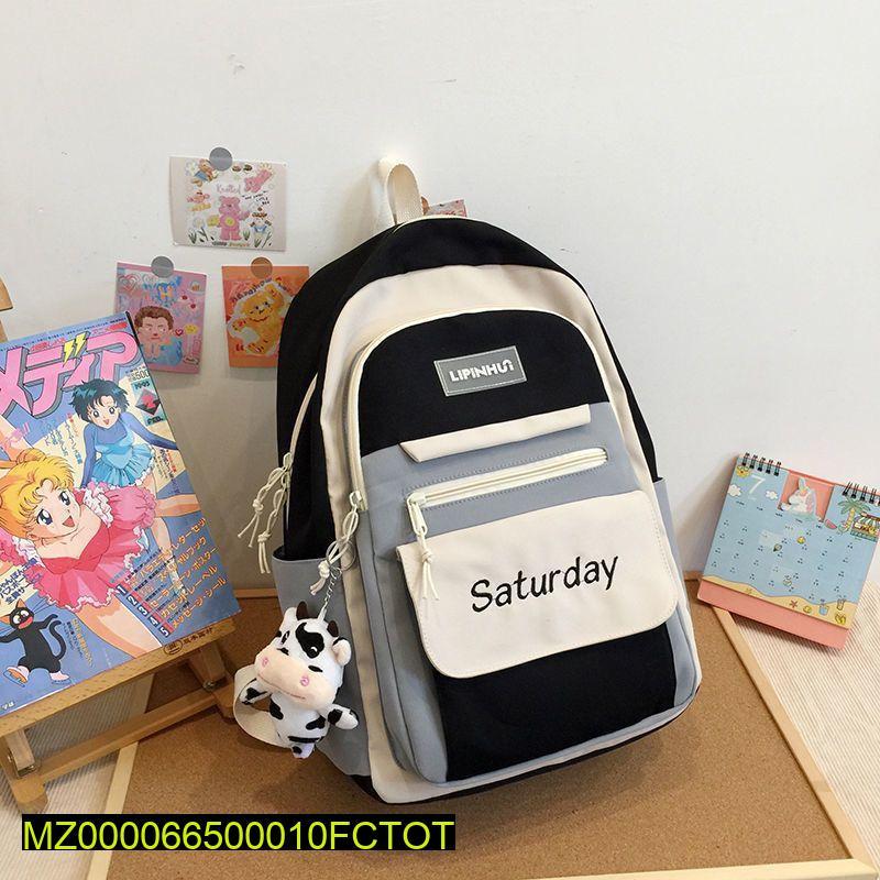 17 Inches Casual Backpack